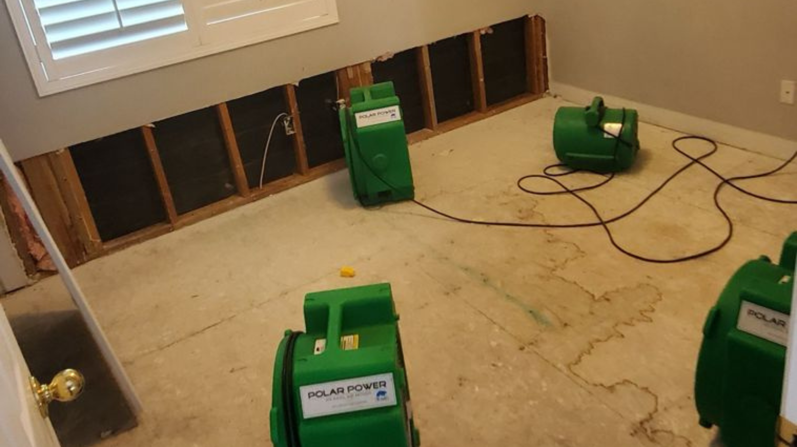 Sewage cleanup after