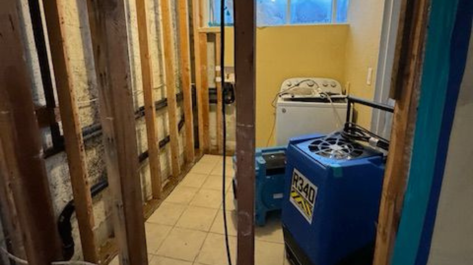 Mold remediation after